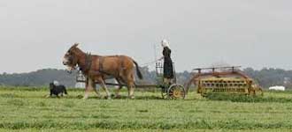 The History of Amish Furniture